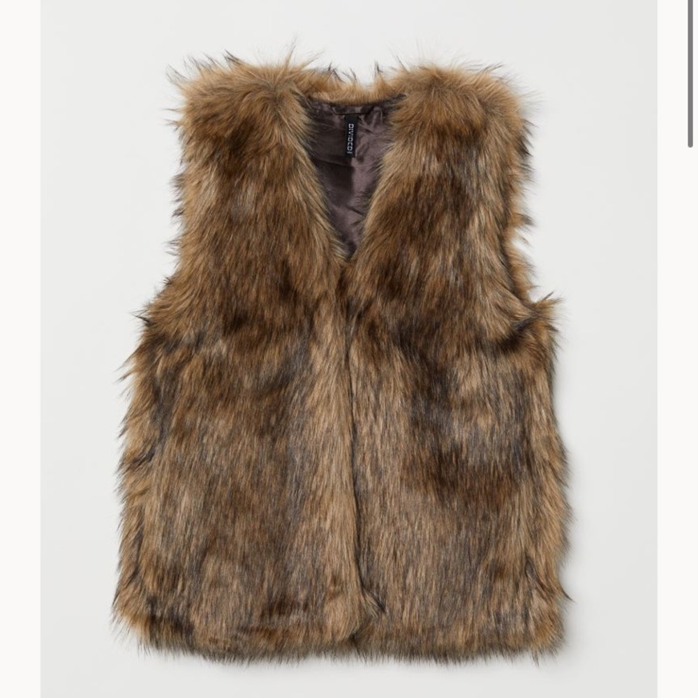 H&M Faux Fur Vest